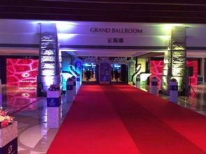 广州庆典策划公司 专业舞龙舞狮礼仪与开业庆典布置、灯光音响租赁一站式服务